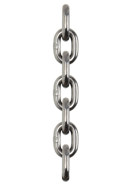 Conveyor Chains for Poultry Industry